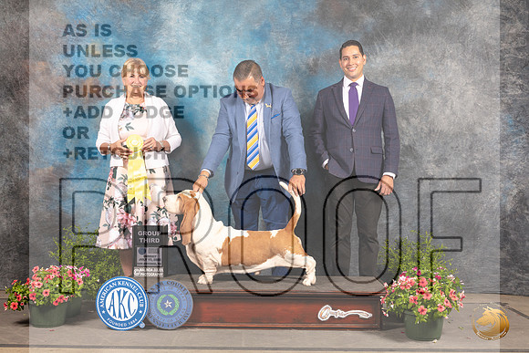 Basset Hound #7 Sun G3 Judge Debra Thornton_MJ_1652_SA_2022_HR3