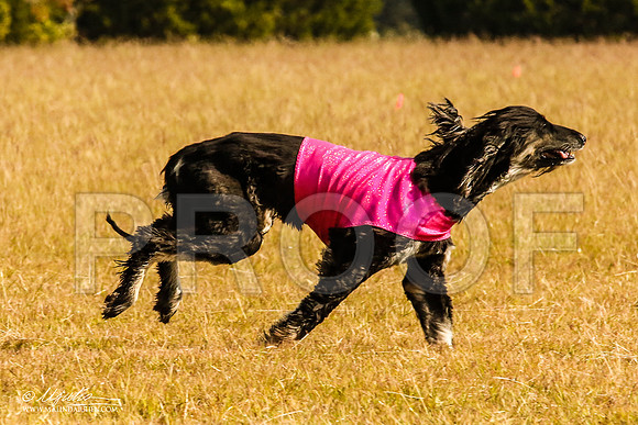 _MJ_4571-AfgBeltonOct2014-HR3