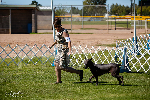 _JJ_8512-AlamogordoOct2014-HR3