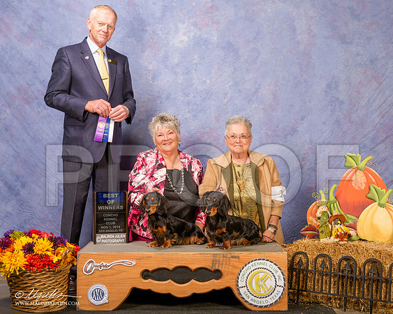 _CL_4496 - Version 2-SanAngelo2014-HR3