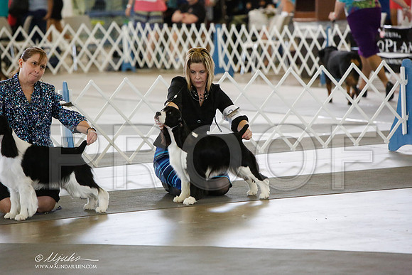 _JN_0704-DallasJul2014-HR3