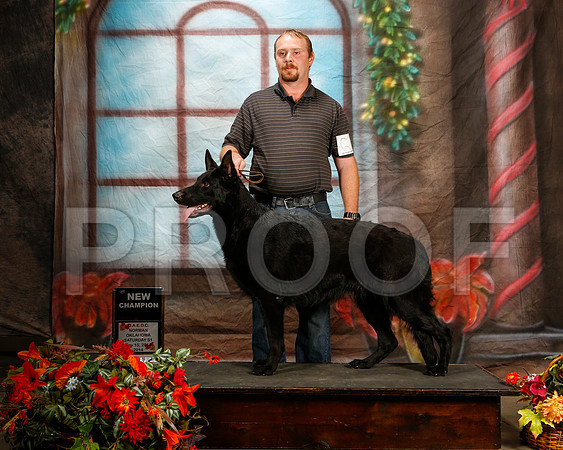 _ST_7070-2-NrmnNov2014-HR3