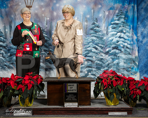 _ST_8429-DallasDec2014-HR3