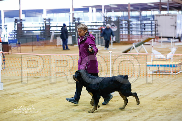 rott-4172-MrshlDec13-HR