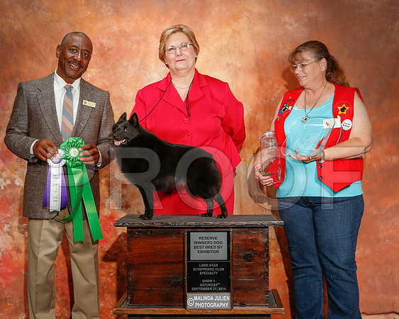 _ST_2407-2-CarlrolltonSept2014-HR3
