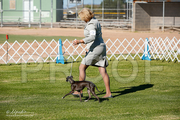 _JJ_4266-AlamogordoOct2014-HR3