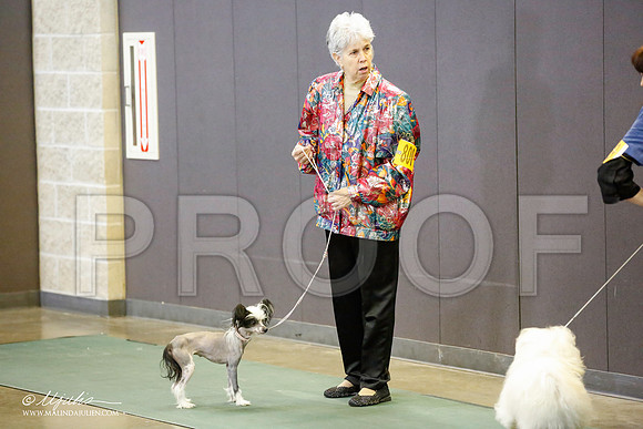 _JN_5728-BeltonJan2015-HR3