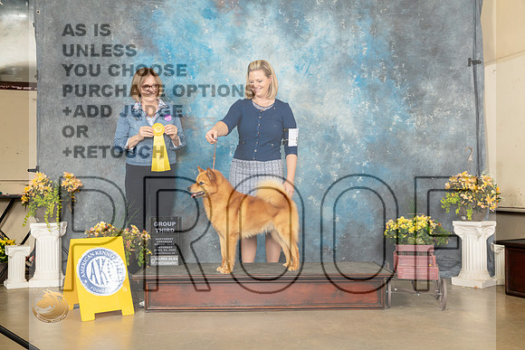 Finnish Spitz #5 Sat G3 Judge Grace Fritz-MMJ_0858-NWARK2022-HR3