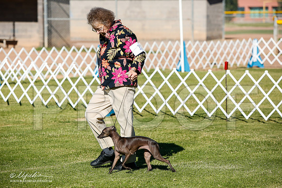 _JJ_4248-AlamogordoOct2014-HR3