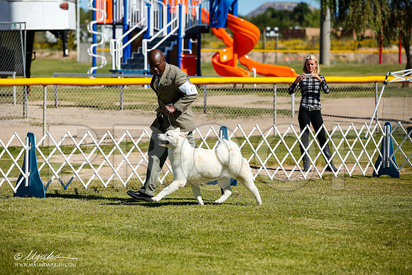 _JJ_9878-AlamogordoOct2014-HR3