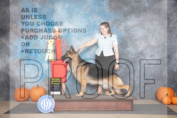 German Shepherd Dog #7 Sun G3 Judge Jan Paulk__JP_9565_Humble_2024_HR3