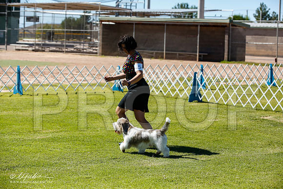 _JN_6891-AlamogordoOct2014-HR3