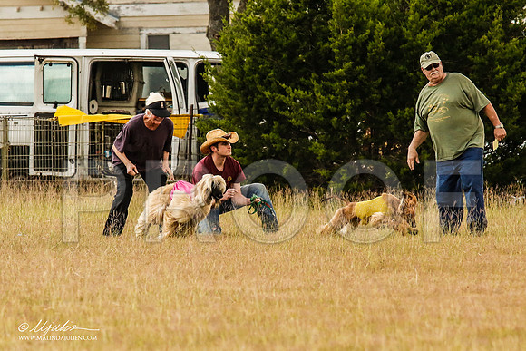 _MJ_5025-AfgBeltonOct2014-HR3