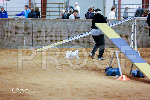 StdNov4S-9231-BltnNov13-HR