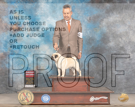 Pug #17 Fri G2 Judge Donnelle RichardsMMJ_3579_Mdlnd2022_HR3