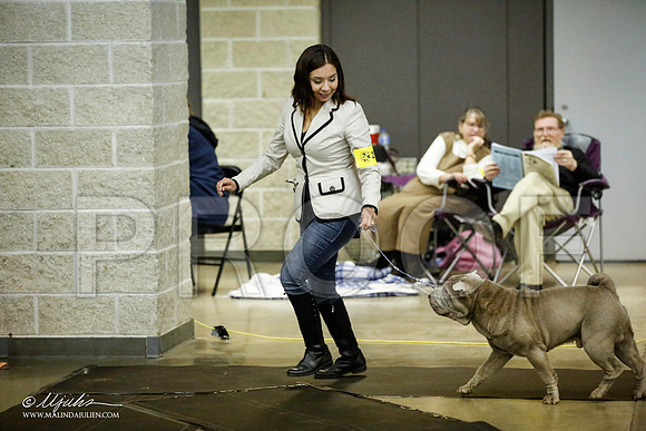 _JJ_5727-BeltonJan2015IABCA-HR3