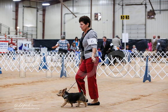 _JJ_6341-TxArJun2014-HR3