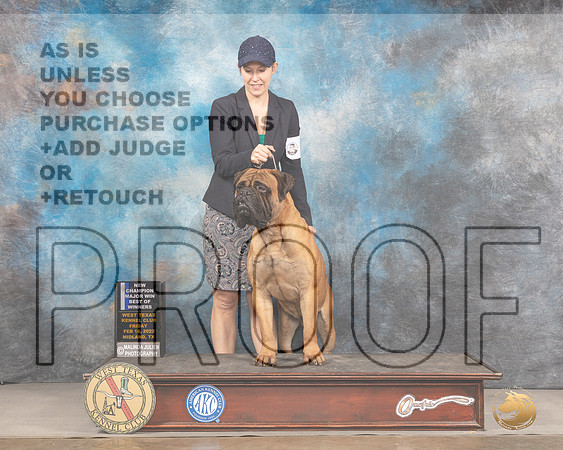Bullmastiff #9 Fri BOWWD Judge Donnelle RichardsMMJ_2985_Mdlnd2022_HR3