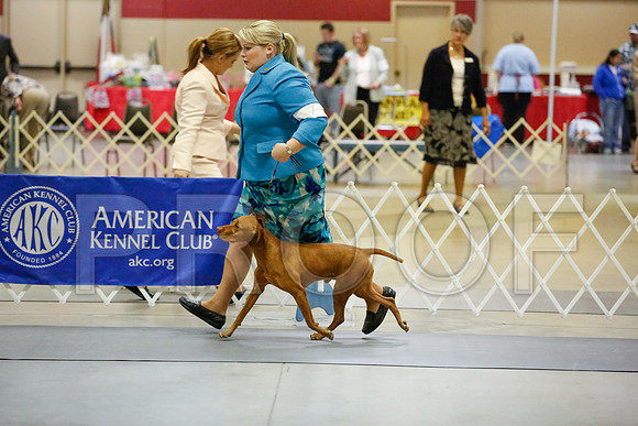 _JJ_6196-AmarilloSept2014-HR3