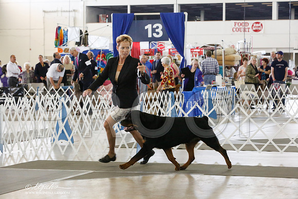 _RH_3828-DallasJul2014-HR3