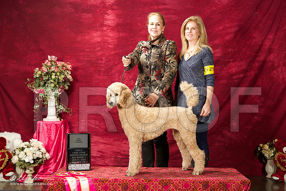 _ST_2752-BeltonJan2015IABCA-HR3
