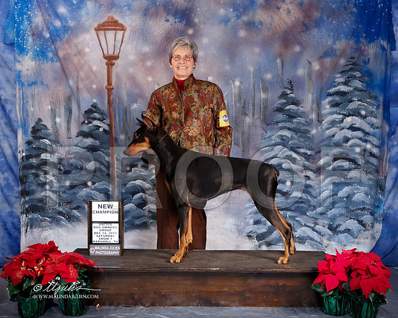 Dobe-6077-MrshlDec13-HR