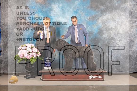Bouvier #? Thur WB Judge John Wade_MJ_4719_Houston_2022_HR3