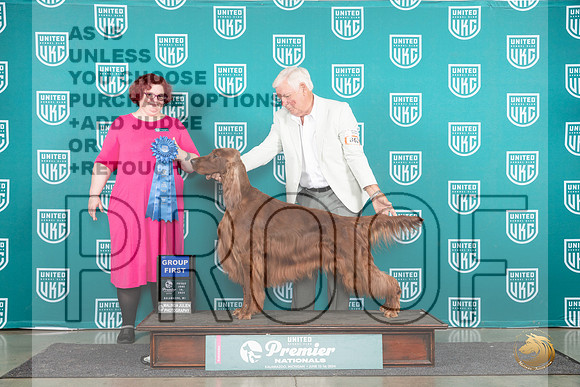 Irish Setter #862 Fri G1 Judge Tracy Karsjens__JP_1794_Premier_2024_HR3