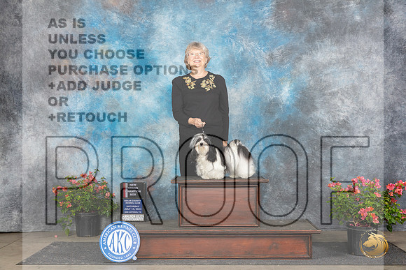 Havanese #6 Sat BOSGCH Judge Christie Martinez __JP_5523_San Antonio_2024_HR3