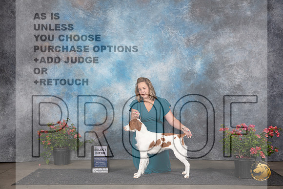 Brittany #24 Sat SB Judge Robert E Stein Sat BOSGCH Judge Christie Martinez__JP_5254_San Antonio_2024_HR3