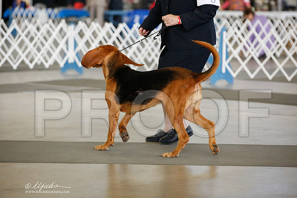 _JJ_3908-DallasJul2014-HR3