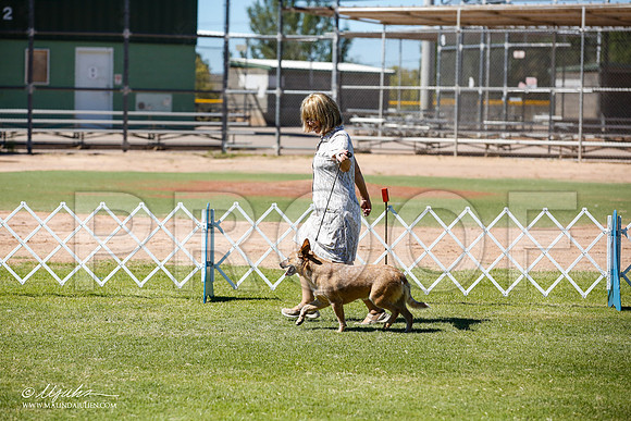 _JN_8897-AlamogordoOct2014-HR3