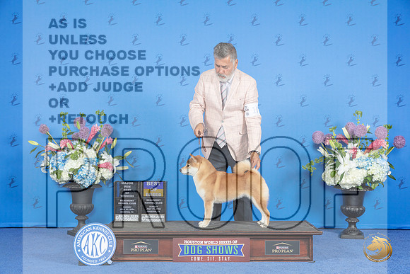 Shiba Inu #18 SUN BOB WB M Judge Douglas Johnson__JP_0205_Houston_2024_HR3