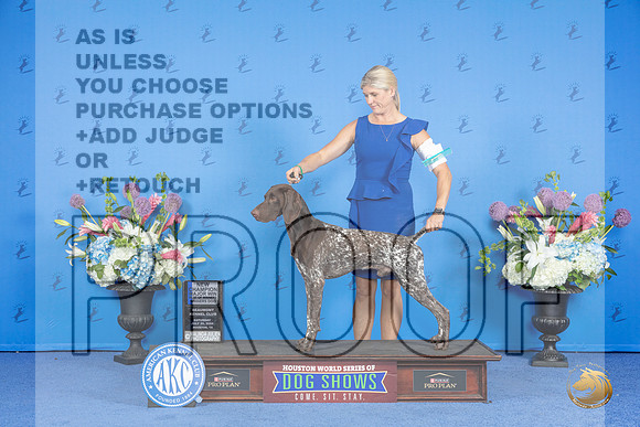 German Shorthaired Pointer #57 SAT BOW NC M Judge Wood Wornall__JP_0081_Houston_2024_HR3