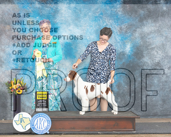Brittany #17 Sat G3 Judge Sharol Candace Way_JP_0083e_Abilene_2024-HR3