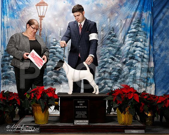 _ST_8019-2-DallasDec2014-HR3