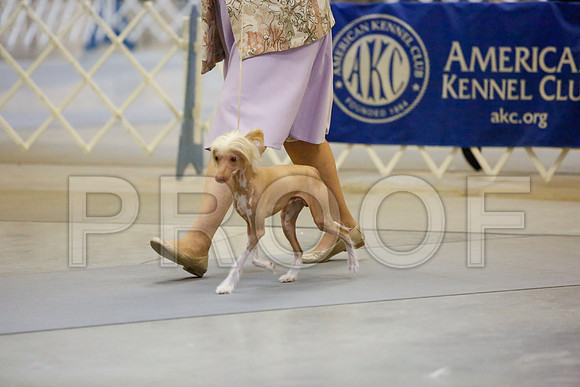 _JJ_2046-AmarilloSept2014-HR3