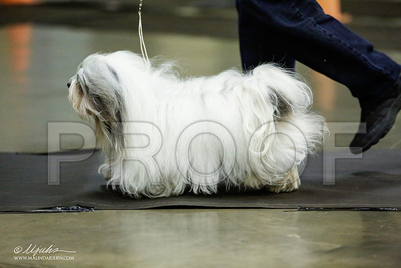 _JJ_5422-BeltonJan2015IABCA-HR3