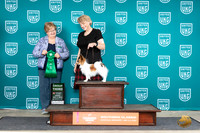 Papillonn #718 Fri G3 Judge Mary Ellen Meyer