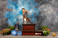 Boston Terrier #7 Sun BOBBOW Judge Michael Canalizo