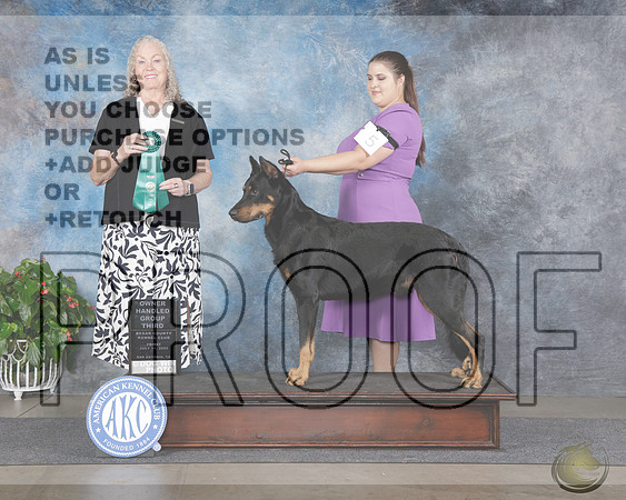 Beauceron #5 Fri OHG3 Judge Kimberly MeredithBeauceron #5 Fri OHG3 Judge Kimberly Meredith_WP_9719e-San Antonio 2025-HR3