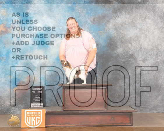 Papillon #140 Sun G3 Judge Matthew ProctorMMJ_6212_Lngvw2022HR3
