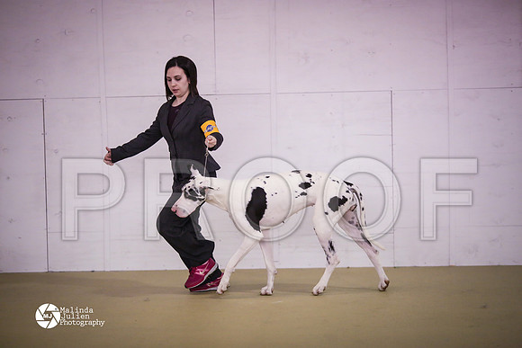 Dane-7743-HtoJan14-HR