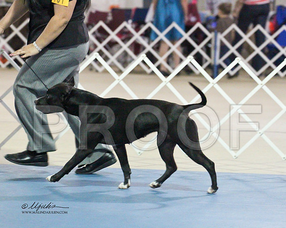 APBT-9643