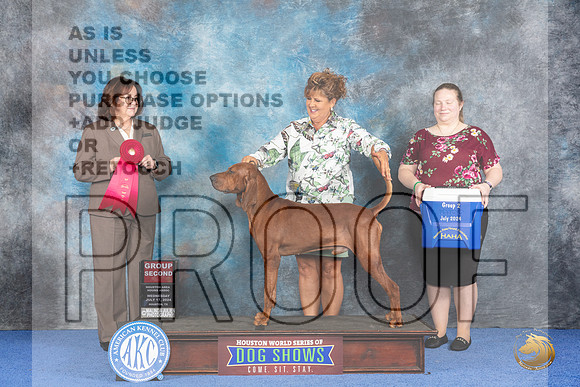 Redbone Coonhound #7 WED G2 Judge Barbara Scherer__JP_7209_Houston_2024_HR3