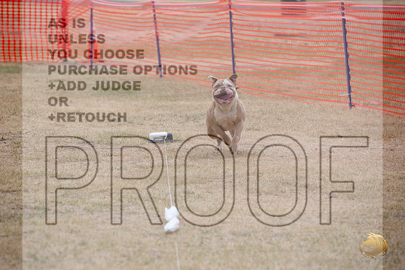 Precision Coursing Longview WA 2024 _JJL_3395_Longview WA_2024_HR3