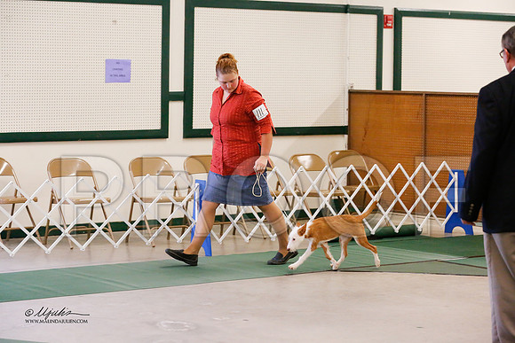 BISpup-0093-NormNov13-HR