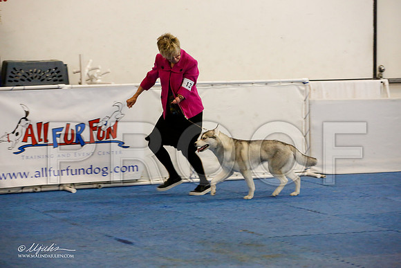 _M3_1011-AddisonHuskyMar2015-HR3