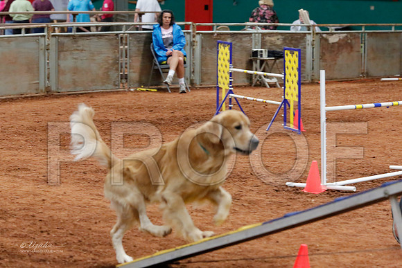 StdOpen24-6423-WFOct2013-HR