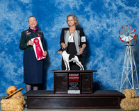 Toy Fox Terriers #9 Fri G2 Bellamy W Eugene Jr Agent Jon Rawleigh Judge Mrs Carolyn A Herbel